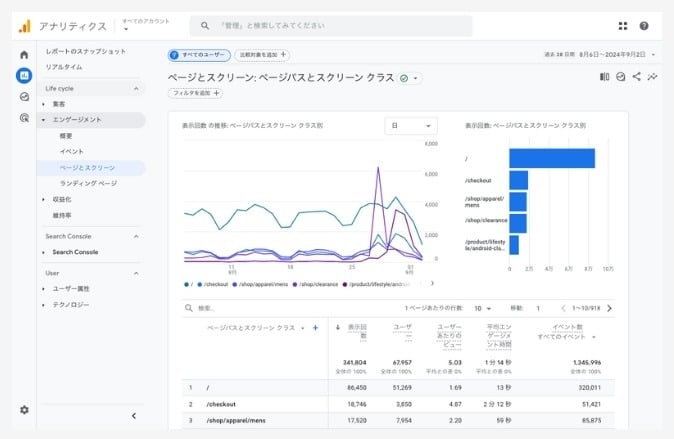 Google アナリティクスのページとスクリーン画面